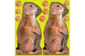 Мишени (клеящиеся) BIRCHWOOD Мод. PRAIRIE CHUCK SHOOT•N•C