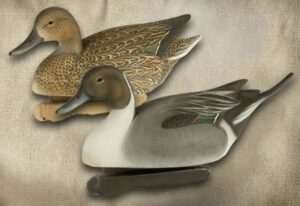 Набор подсадных уток FA Мод. GUNNERS HD PINTAIL