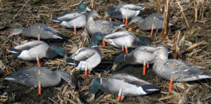 Набор подсадных уток REAL GEESE Мод. PRO SERIES II EXTREME MALLARDS