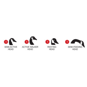 Набор подсадных гусей FLAMBEAU Мод. WHITE FRONT WATER