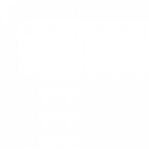 Боек BLASER для Мод. R8