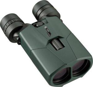 Бинокль ALPEN OPTICS Мод. APEX STEADY 14X42 HD BaK-4 ROOF PRISM (со стабилизацией изображения)