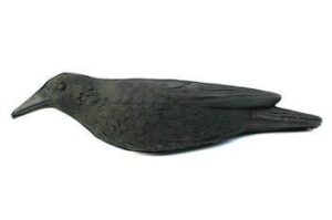 Чучело «ВОРОНА серая» пластик