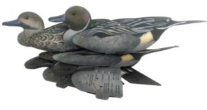 Комплект разборных чучел NRA FUD «Шилохвость» (6 шт.)