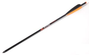 Стрела WICKED RIDGE Мод. CARBON 20″