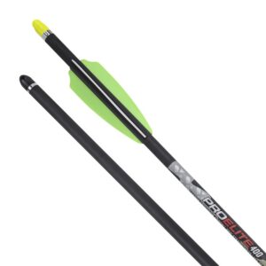 Стрела TENPOINT Мод. PRO ELITE CARBON 20″