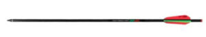 Стрела TENPOINT Мод. PRO-V CARBON 22″