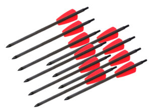 Стрелы EK Мод. CARBON 7,5″ (19см)(для арбалета R9)(наконечник 75грн)(10шт)