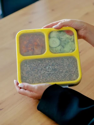 Ланч-бокс АRСTIСA с отделениями